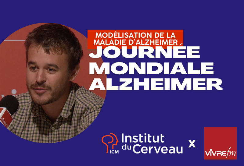Quel est le diagnostic de la maladie d'Alzheimer