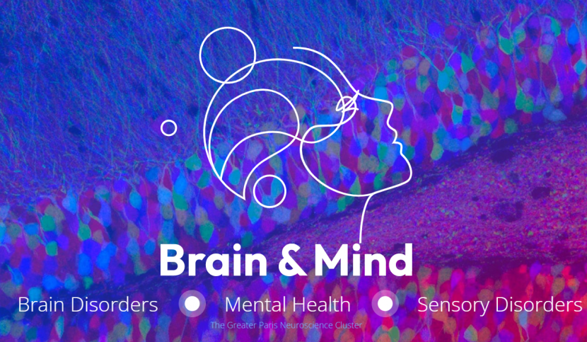 NeurAL Institut Du Cerveau NeurAL Institut Du Cerveau