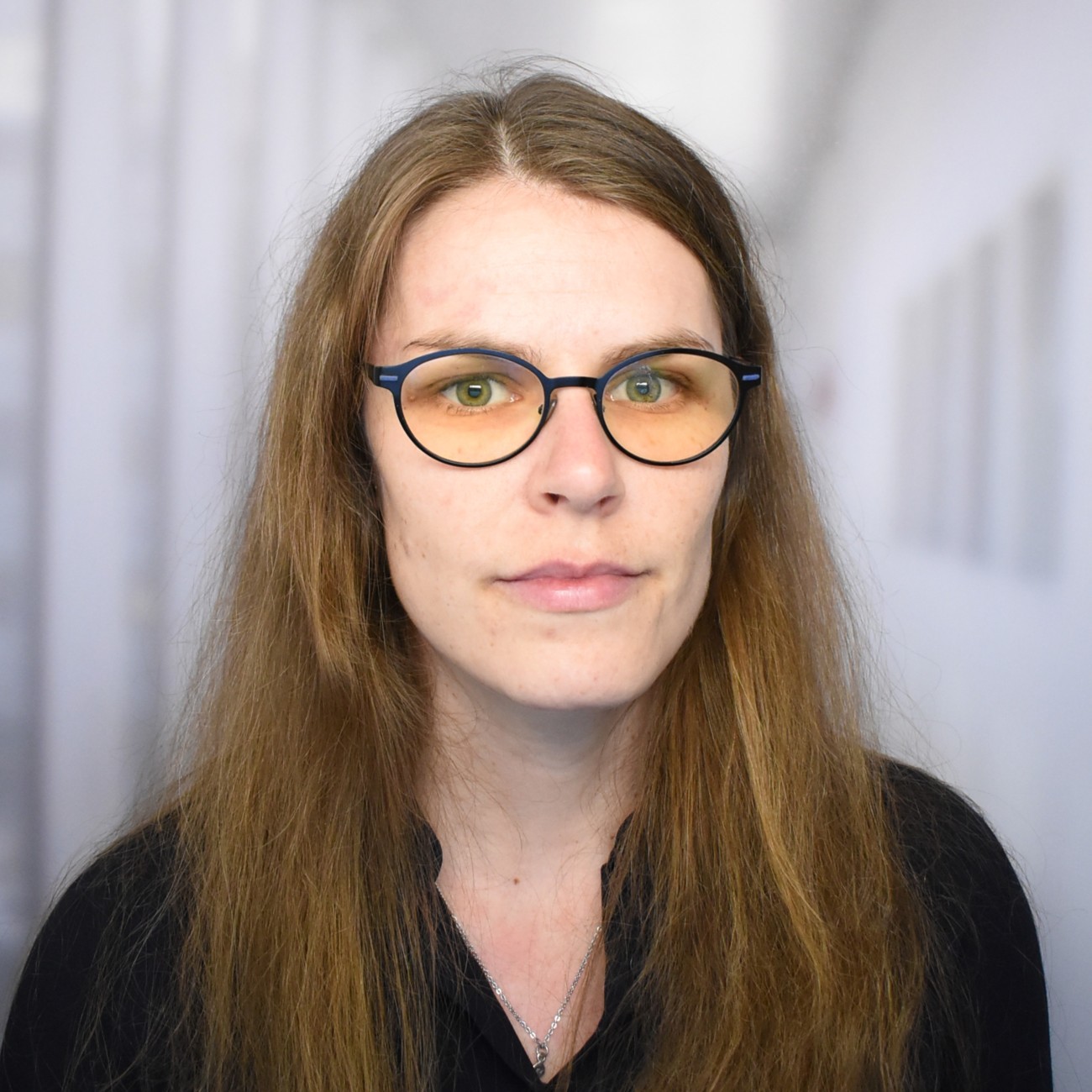 Equipe ARAMIS Modeles Num riques Des Maladies Du Cerveau Equipe ARAMIS Modeles Num riques Des Maladies Du Cerveau