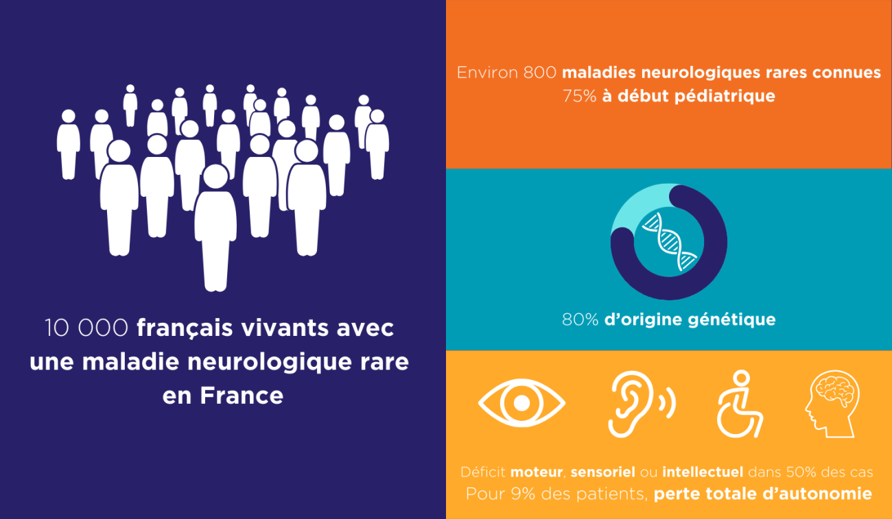 Maladies neurologiques et maladies du cerveau Institut du Cerveau — free download