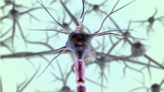 Un neurone