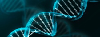 gene