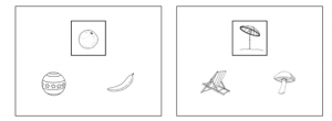 Figure 1 : Un exemple du test de catégorisation. Dans le cadre de gauche, l’orange encadrée peut être reliée au ballon qui a la même forme selon une catégorisation visuelle ou à la banane, un fruit également, selon la catégorisation sémantique.