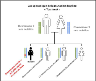 Cas sporadique de la mutation du gène