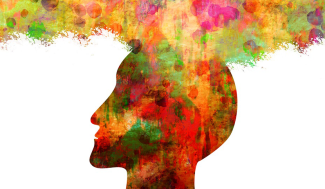 Perception des couleurs par le cerveau
