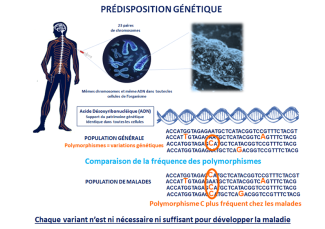 predisposition gentique de la maladie de Parkinson