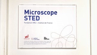 Plaque du microscope STED