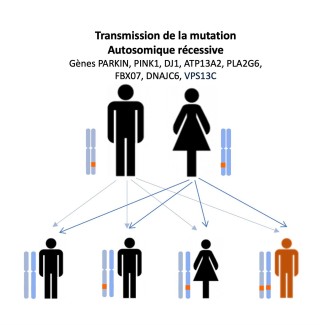 autosomique récessive