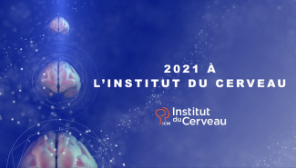 Visuel de 2021 à l'Institut du Cerveau