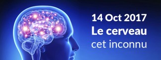 Visuel de EME 2017 : le cerveau, cet inconnu