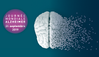 Logo de la recherche sur la maladie d’Alzheimer 