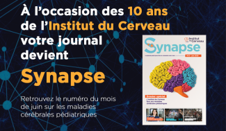 Découvrez le nouveau Synapse !