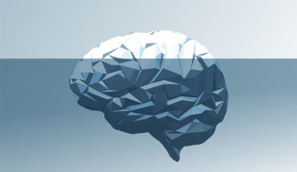 Cerveau Iceberg