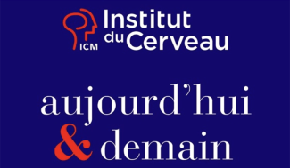 L'ICM devient l'Institut du Cerveau !