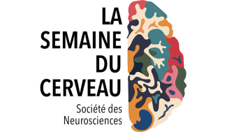 Logo de la Semaine du Cerveau