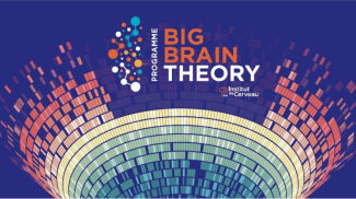 Visuel du programme Big Brain Theory 