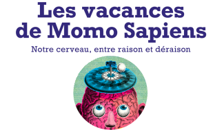 Affiche Les vacances de Momo Sapiens