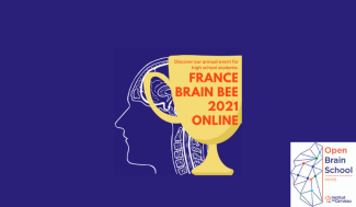 Affiche France Brain Bee 2021