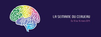 Affiche de la Semaine du Cerveau 2014