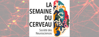 Logo la semaine du Cerveau