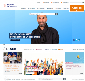 Actuel site internet de l'Institut du Cerveau