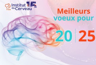 Visuel Voeux 2025