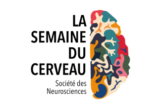 Logo de la Semaine du Cerveau