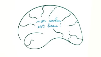 Dessin mon cerveau est beau