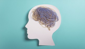 Une pelote dans un cerveau