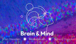 brain mind