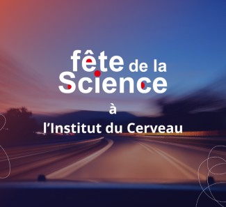 Vignette Le cerveau en pilote automatique