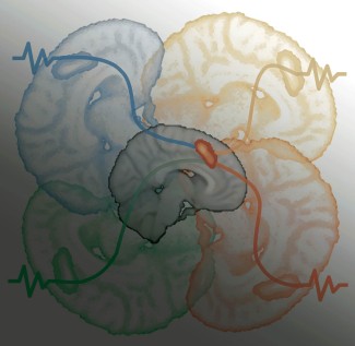 Neurosciences cognitives