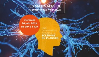 Images les matinales