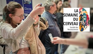 Atelier semaine du cerveau