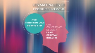 L’axe cerveau-intestin