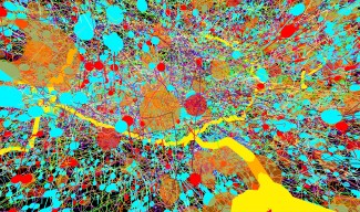 La qualité des mitochondries durant le neurodéveloppement est cruciale pour la santé cérébrale
