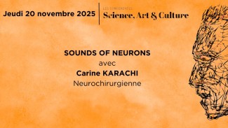 Sounds of neurons