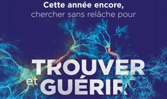 Vœux 2026 de l'Institut du Cerveau