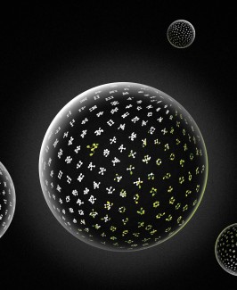 Représentation artistique de la transition progressive de l’éveil