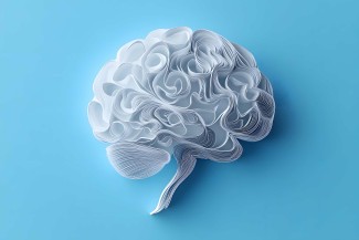 Understanding the Brain