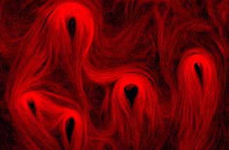 Microtubules in vitro. Crédit : Paul Appleton, Université de Dundee.