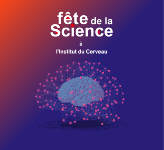 Network Neuroscience