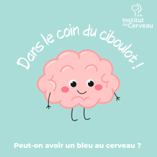 Dans le coin du ciboulot : Peut-on avoir un bleu au cerveau ?