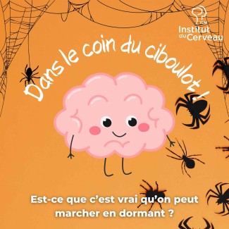 Est-ce que c’est vrai qu’on peut marcher en dormant ?