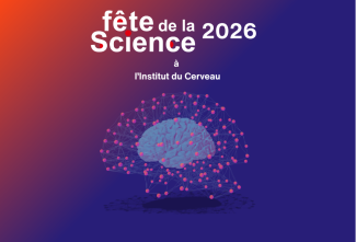 Network Neuroscience Vignette