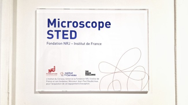 Plaque du microscope STED